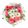 Celebrating the gentle promise of springtime around Chase Cross, this artful bouquet brings together the familiar and the uplifting in every bloom. Arranged with finesse and care, the bouquet's circle of lively coral-pink carnations and snowy daisies, each with fresh green hearts, is immediately warming to the eye. Spirals of airy baby's breath float amidst, creating a dreamy haze reminiscent of soft clouds drifting over Chase Cross's open spaces. Sprigs of eucalyptus-shaded silver and green-frame the arrangement, their herbal essence subtly perfuming the air, while glimpses of unopened alstroemeria buds, tinged with muted pink and violet, add a refined undertone of anticipation. The bouquet radiates both calm and jubilation-the perfect centerpiece for a sunlit kitchen table or an encouraging gesture for someone living near White Hart Lane. Reflecting the neighbourhood's intimate charm and the skilled touch of Chase Cross Florist, this arrangement is equally suited to celebratory milestones, heartfelt thanks, or simple, everyday joy-each flower promising freshness and expertly crafted beauty, ready for delivery throughout the community.